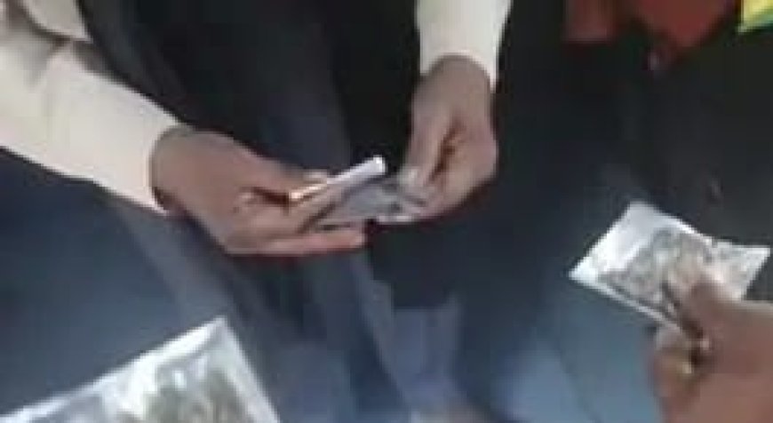 खागा कोतवाली के 100 मीटर दूरी पर संदीप पाल माफिया के द्वारा बेचा जा रहा है गांजा