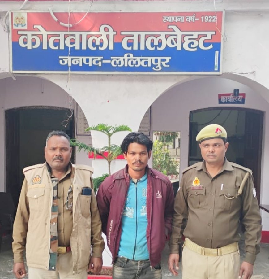 तालबेहट पुलिस द्वारा भैंस चोरी के अभियोग में वांछित एक अभियुक्त गिरफ्तार
