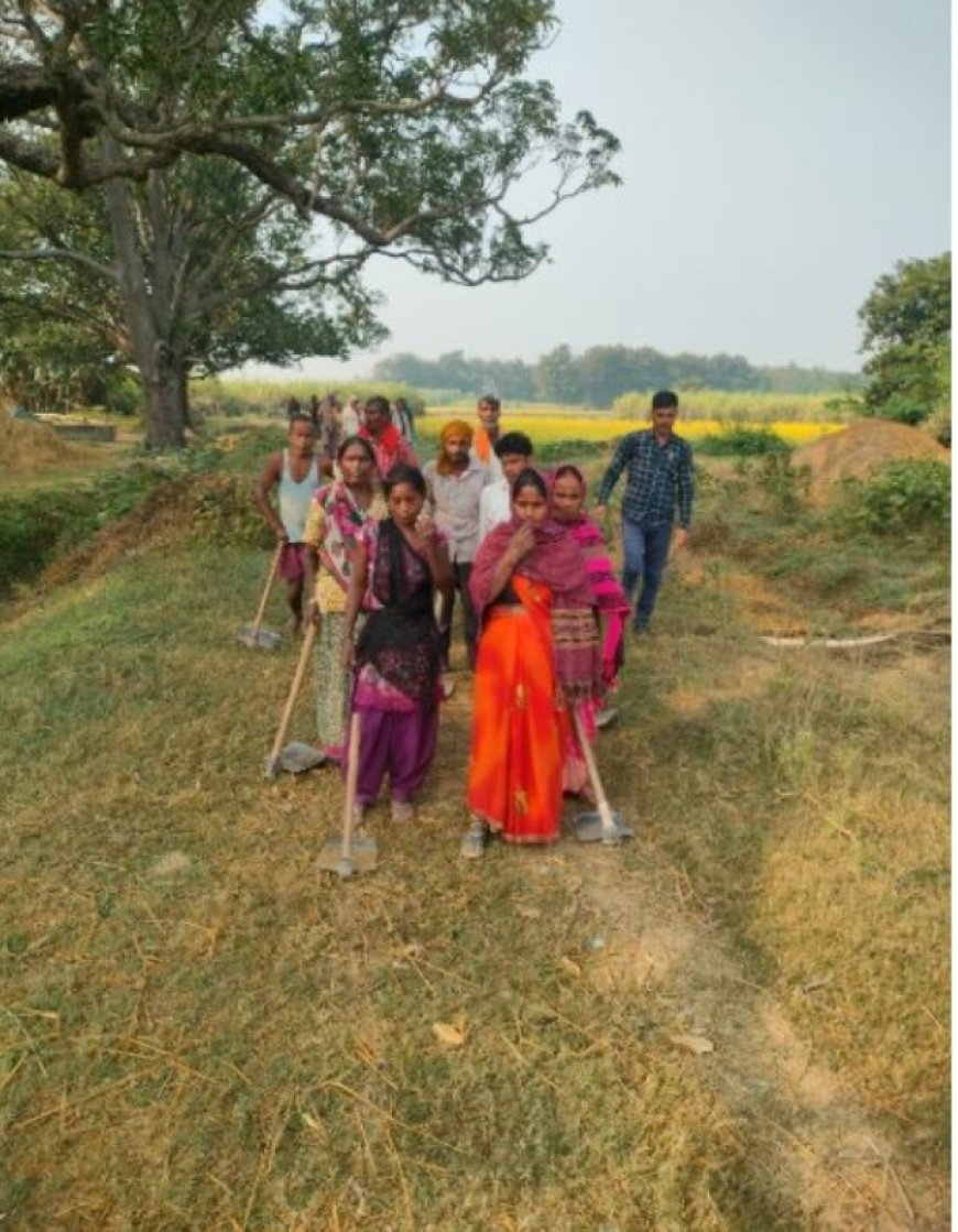 मनरेगा में बड़ा खुलासा: ग्राम पंचायत प्रेमनगर में मजदूरों के हक पर डाका, 35 मजदूर की फर्जी ऑनलाइन हाजिरी, चार मास्टर रोल भरे लेकिन मैदान में एक भी मजदूर नहीं मिला