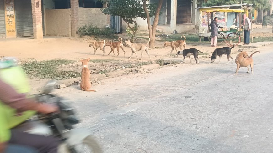 कोटवाधाम में आवारा कुत्तों व बन्दरों का आतंक