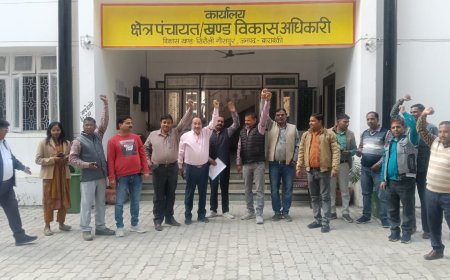 पंचायत सचिवो ने काली पट्टी बांधकर किया सांकेतिक कार्य बहिष्कार