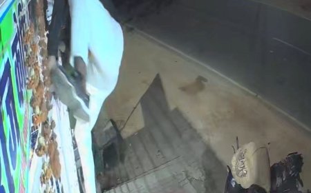 किराना दुकान से ढेड़ लाख की चोरी, घटना सीसीटीवी में कैद