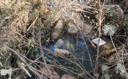 मंझनपुर सदर तहसील के चम्पहा बाजार, से बोली नहर तक बनाई गई थी आरसीसी रोड