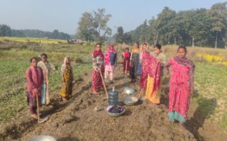 मनरेगा में फर्जी हाजिरी का बड़ा खुलासा — अधिकारियों की मिलीभगत से चल रहा है भ्रष्टाचार