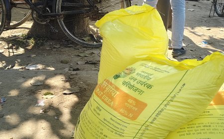 पचपेडवा में खाद माफिया बेलगाम, किसानों का हक लूटा जा रहा — कृषि विभाग पर गंभीर आरोप