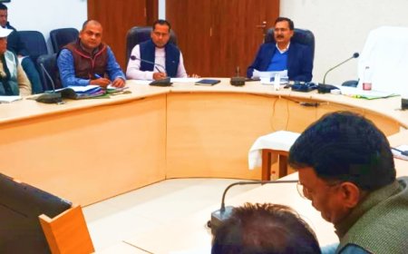 जिला कौशल समिति जिला कार्यकारिणी समिति की समीक्षा बैठक का आयोजन