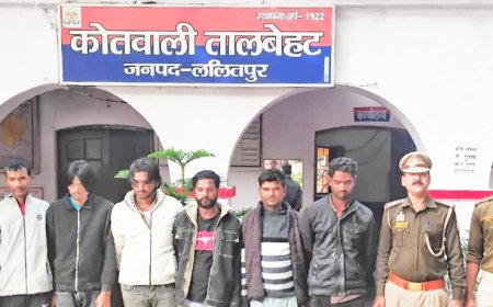 थाना तालबेहट पुलिस ने भैंस चोरी के अभियोग में 06 नफर अभियुक्तों गिरफ्तार