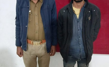 थाना पहाड़ी पुलिस ने बलात्कार के वांछित अभियुक्त को किया गिरफ्तार