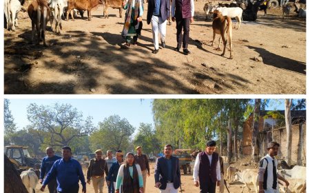 बढ़ती सर्दी के दृष्टिगत जिलाधिकारी ने महरौनी गौशाला का किया औचक निरीक्षण