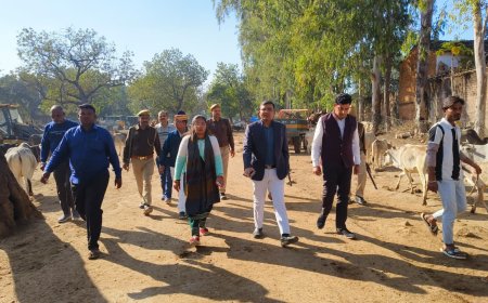 बढ़ती सर्दी के दृष्टिगत जिलाधिकारी ने महरौनी की गौशाला का किया निरीक्षण