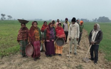 मनरेगा में बड़ा फर्जीवाड़ा: पचपेडवा विकासखंड में कागजों पर मजदूरी, जमीन पर सन्नाटा