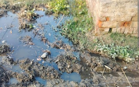 मोतीनगर में गंदगी का साम्राज्य, दबदबे के आगे बेबस व्यवस्था