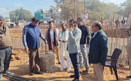 बड़ी नहर पुल के निर्माण में देरी पर भड़के डीएम और विधायक।