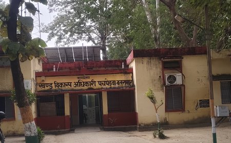 खंड विकास कार्यालय पचपेडवा