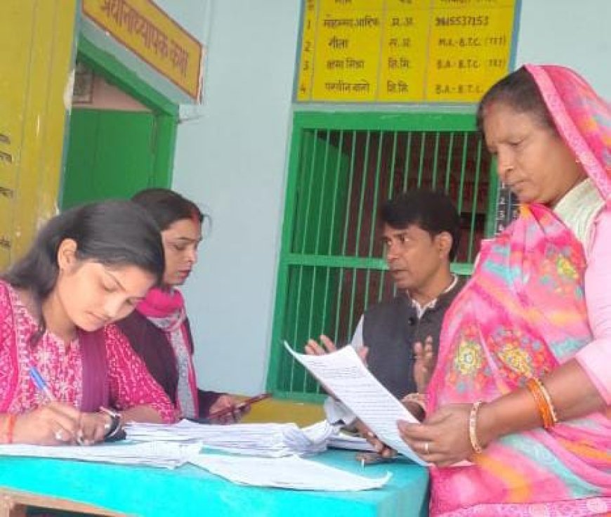 सिरौलीगौसपुर क्षेत्र के सभी बूथों पर एस आई आर कार्य तेजी के साथ चल रहा है