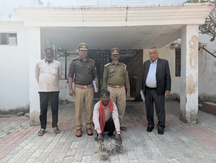 **उदवतनगर झील में अवैध शिकार का भंडाफोड़**