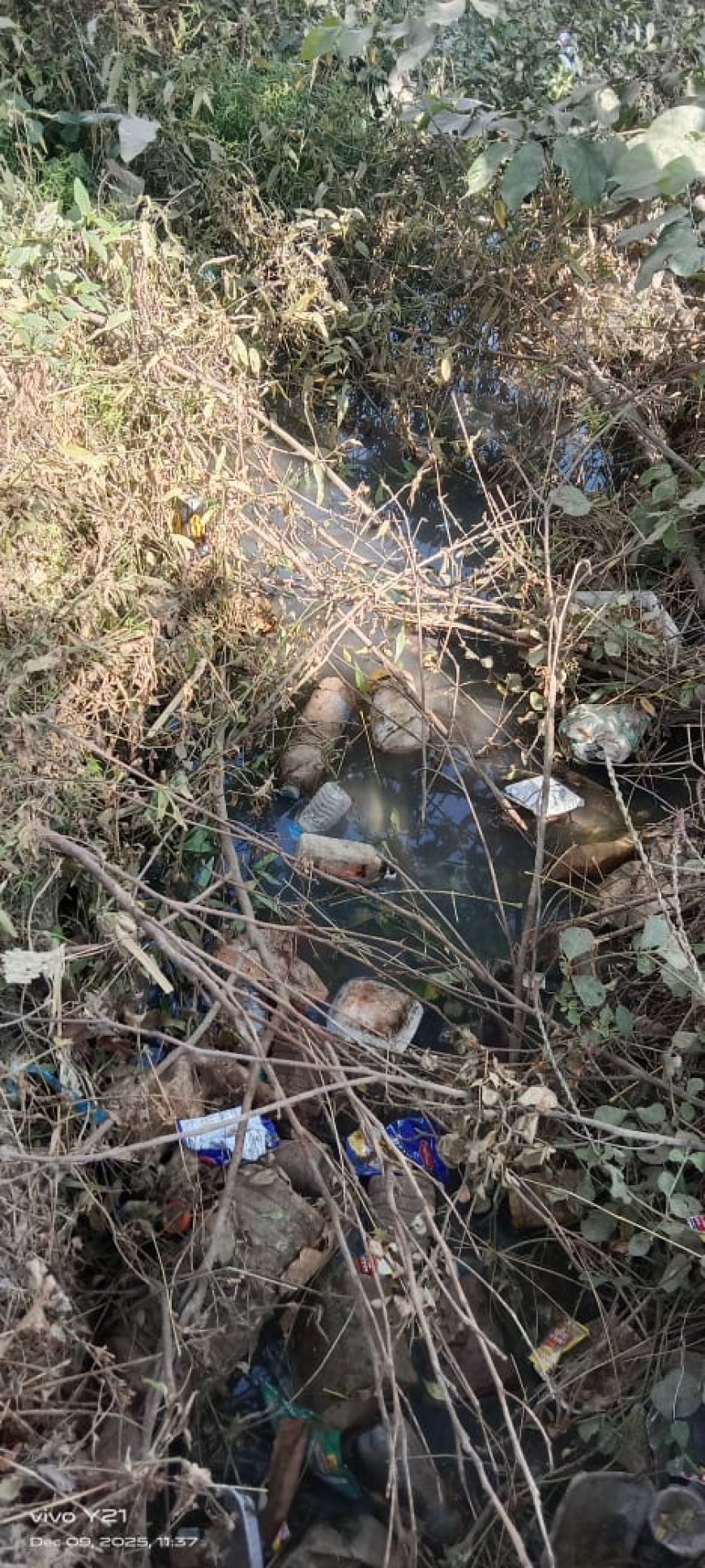 मंझनपुर सदर तहसील के चम्पहा बाजार, से बोली नहर तक बनाई गई थी आरसीसी रोड