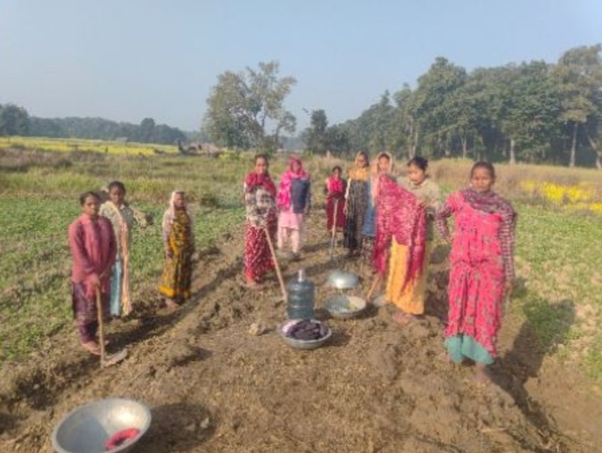 मनरेगा में फर्जी हाजिरी का बड़ा खुलासा — अधिकारियों की मिलीभगत से चल रहा है भ्रष्टाचार