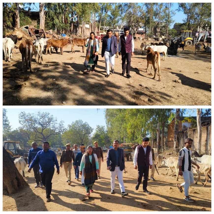 बढ़ती सर्दी के दृष्टिगत जिलाधिकारी ने महरौनी गौशाला का किया औचक निरीक्षण