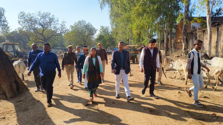 बढ़ती सर्दी के दृष्टिगत जिलाधिकारी ने महरौनी की गौशाला का किया निरीक्षण