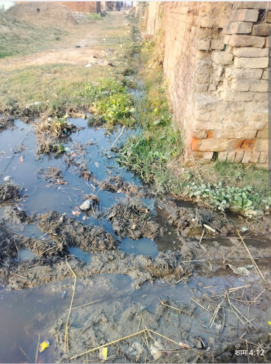 मोतीनगर में गंदगी का साम्राज्य, दबदबे के आगे बेबस व्यवस्था