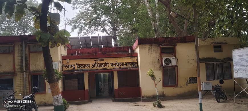 खंड विकास कार्यालय पचपेडवा