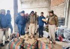 रनिया पुलिस की बड़ी कार्रवाई,50 लाख का गांजा बरामद प्लास्टिक के बर्तन बेचने की आड़ में चल रही थी तस्करी,दो गिरफ्तार