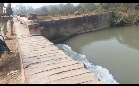 दरिया बाद ब्रांच समान्तर नहर के कसरैला झाल में 30 वर्षीय महिला का शव मिला कोतवाली बदोसरांय पुलिस ने शव का पंचायत नामा भरकर पोस्टमार्टम को भेजा