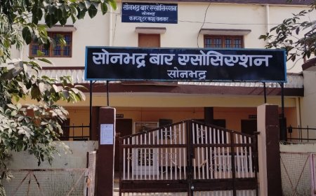 अध्यक्ष पद पर सर्वाधिक 6 प्रत्याशियों समेत 34 प्रत्याशियों ने पर्चा किया दाखिल