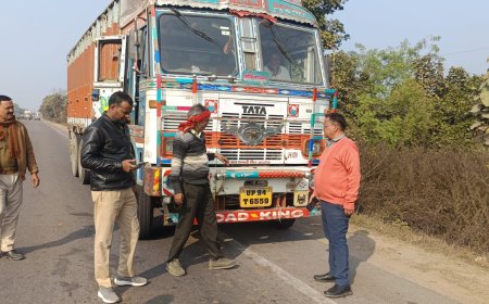 सड़क सुरक्षा माह में हाई सिक्योरिटी रजिस्ट्रेशन प्लेट की बड़ी कार्रवाई बिना सीट बेल्ट और उच्च सुरक्षा पंजीकरण प्लेट  वाले 48 वाहनों के चालान