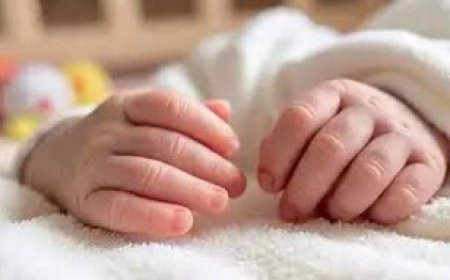 सीएचसी बिल्सी में समय पर उपचार से नवजात की बची जान   डॉक्टरों ने एनबीएसयू टीम को दिया प्रशिक्षण