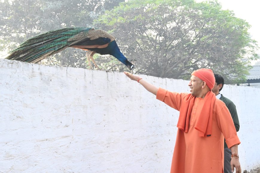 घबराइए मत, हर समस्या का होगा समाधान : मुख्यमंत्री