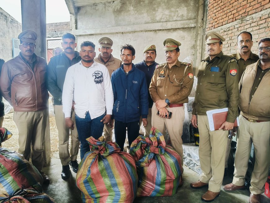 रनिया पुलिस की बड़ी कार्रवाई,50 लाख का गांजा बरामद प्लास्टिक के बर्तन बेचने की आड़ में चल रही थी तस्करी,दो गिरफ्तार