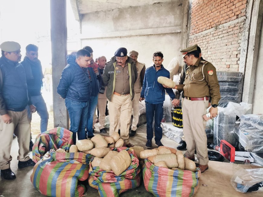 रनिया पुलिस की बड़ी कार्रवाई,50 लाख का गांजा बरामद प्लास्टिक के बर्तन बेचने की आड़ में चल रही थी तस्करी,दो गिरफ्तार