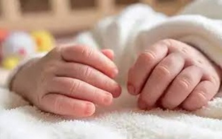 सीएचसी बिल्सी में समय पर उपचार से नवजात की बची जान   डॉक्टरों ने एनबीएसयू टीम को दिया प्रशिक्षण