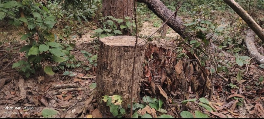 बलरामपुर