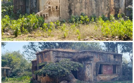 जिले के सुप्रसिद्ध तीर्थ स्थल श्रीकोटवाधाम के नया प्राथमिक स्वास्थ्य केन्द्र में डाक्टर, फार्मासिस्ट व सर्वेन्ट क्वाटर बनवाये जाने की मांग प्रदेश के मुख्यमंत्री योगी आदित्यनाथ से शोषल मीडिया और अखबार के माध्यम से की गयी है