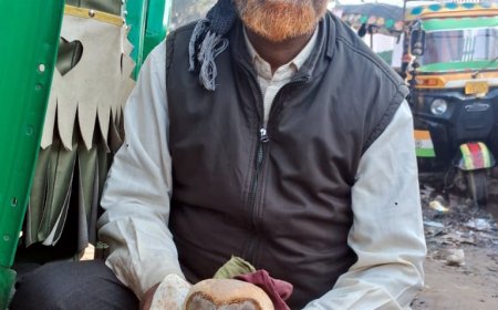 बंदरों के हमले में घायल हुआ उल्लू, सतर्कता से बची जान