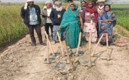 गैसड़ी विकासखंड, जनपद बलरामपुर में मनरेगा की जमीनी हकीकत: कागज़ों में दौड़ते काम, मैदान में सन्नाटा