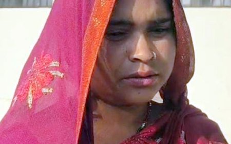 साप्ताहिक बाजार में उचक्कागिरी, किया महिला का पर्स पार