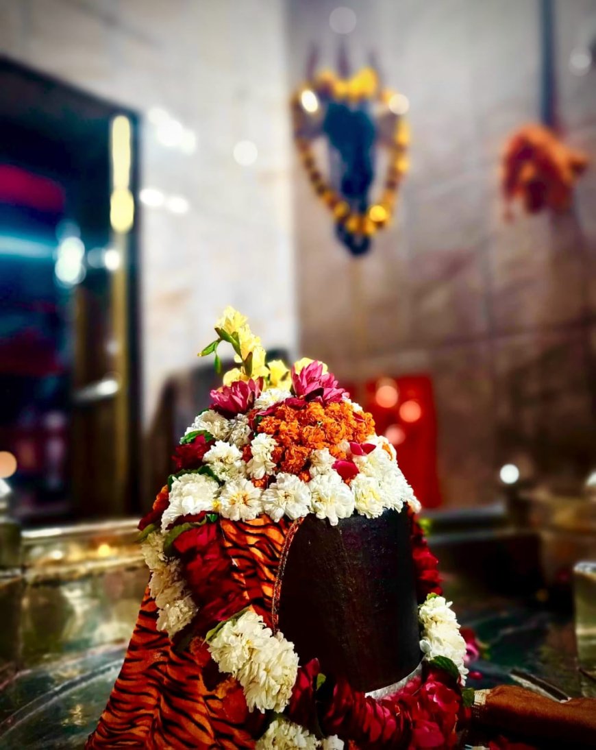 महाशिवरात्रि की तैयारी हर साल की तरह इस बार भी