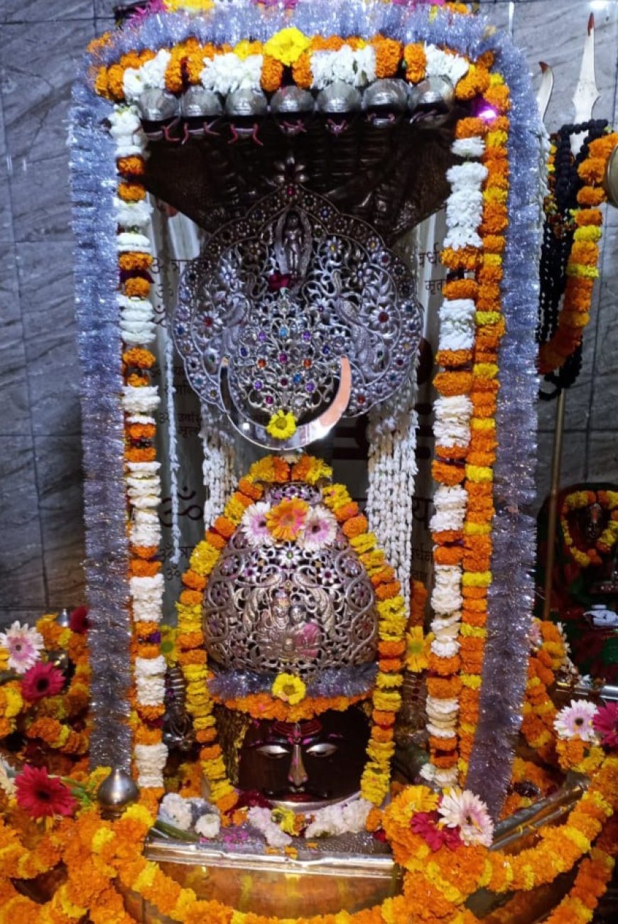 रंगभरी एकादशी के पावन पर्व पर महादेव तारकेश्वर नाथ मंदिर का भवन श्रृंगार