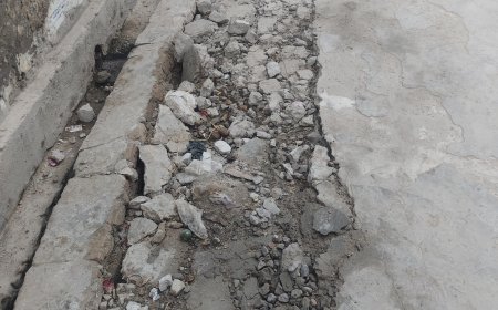 सिसहनिया घोपालापुर में भ्रष्टाचार की भेंट चढ़ी सीसी रोड, एक साल में ही टूटकर बिखरी सड़क