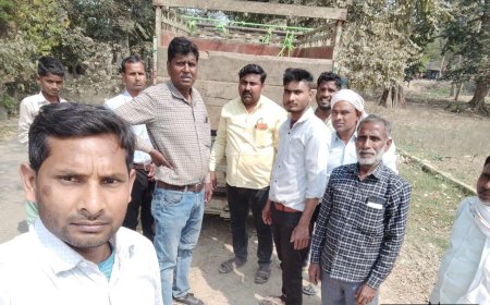 बदोसरांय में घूम रहे छुटटा पशुओं को पकडने का अभियान चला