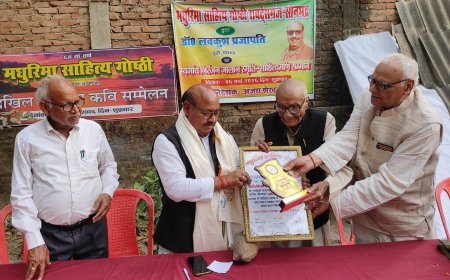 डाक्टर लवकुश प्रजापति को मिला साहित्यमणि सम्मान