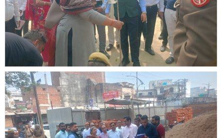 गौ संरक्षण केंद्र और देवा सीएचसी का निरीक्षण