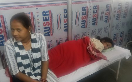 सिरौलीगौसपुर क्षेत्र में बन्दरों का आंतक बन्दरों से निजात नहीं दिलवा पा रहा है वन विभाग