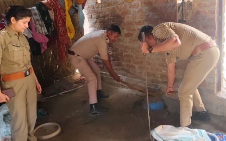 आबकारी विभाग की टीम ने 25 लीटर कच्ची शराब बरामद की 100 किलो लहन नष्ट कराया एक अभियोग पंजीकृत किया