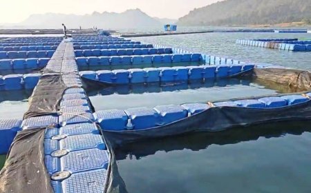 सामाजिक कार्यकर्ता अर्जुन सिंह ने जिलाधिकारी को शिकायती पत्र देकर प्रधानमंत्री मत्स्य सम्पदा योजना की उच्च स्तरीय जांच की मांग