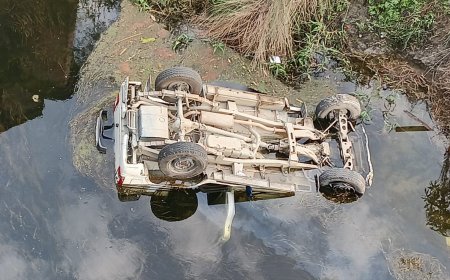 पेड़ से टकराई बाइक, एमआर की दर्दनाक मौत